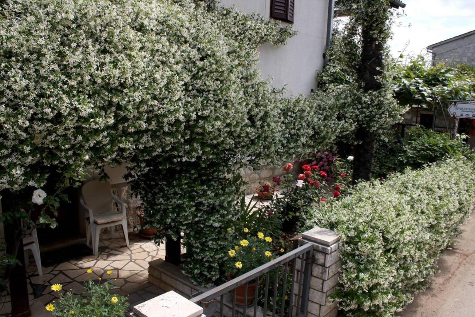 Anamarija Apartments Near The Beach And The Fantastic Adria Sea With Over 10 Small Islands Close By Funtana Εξωτερικό φωτογραφία